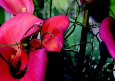 英文励志图片(实用40句) 英文励志图片(实用40句)