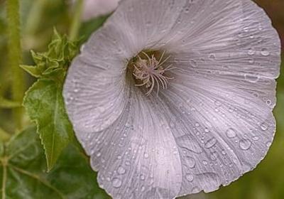 研究生国家励志奖学金(合集14句) 研究生国家励志奖学金(合集14句)