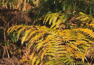 美国励志人物(20句) 美国励志人物(20句)