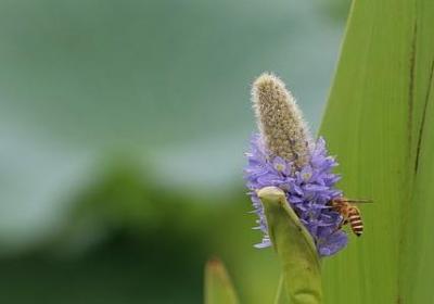 简单的励志英语演讲稿(通用41句) 简单的励志英语演讲稿(通用41句)