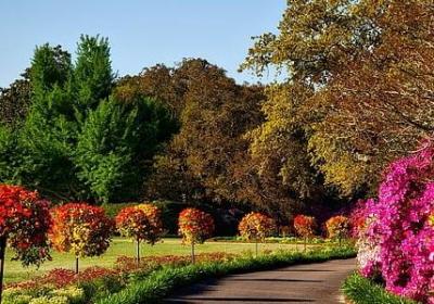 英文励志语句(必备96句) 英文励志语句(必备96句)