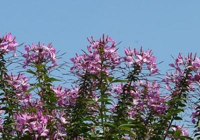 网红励志歌曲(必备70句) 网红励志歌曲(必备70句)