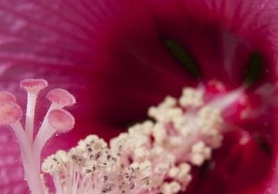 简短励志语(合集60句) 简短励志语(合集60句)