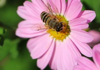 芳华励志的诗句(优选50句) 芳华励志的诗句(优选50句)