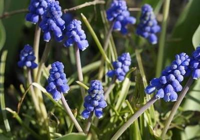 自力更生的励志句子(通用70句) 自力更生的励志句子(通用70句)