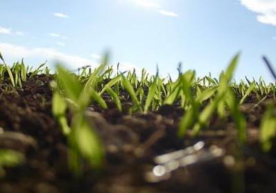 英文励志网名(热门100句) 英文励志网名(热门100句)