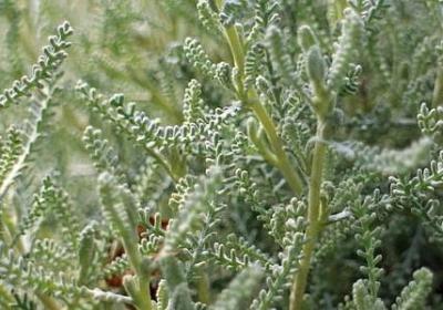 累就对了励志语录(推荐50句) 累就对了励志语录(推荐50句)