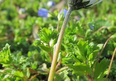 经典励志电视剧(汇总50句) 经典励志电视剧(汇总50句)