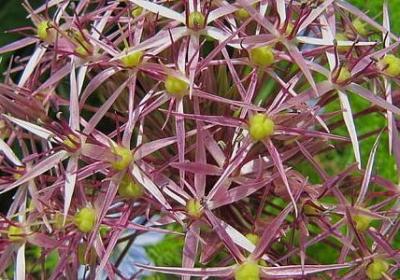 考研励志网名(推荐40句) 考研励志网名(推荐40句)