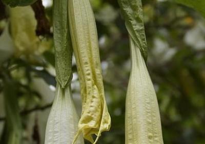 英文励志壁纸(合集50句) 英文励志壁纸(合集50句)