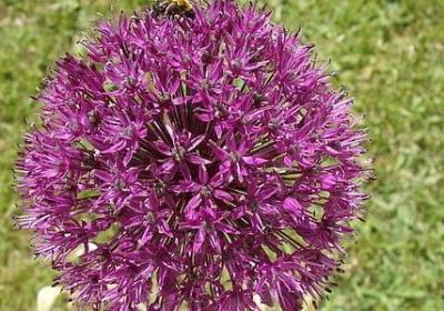 篮球励志(精选50句) 篮球励志(精选50句)