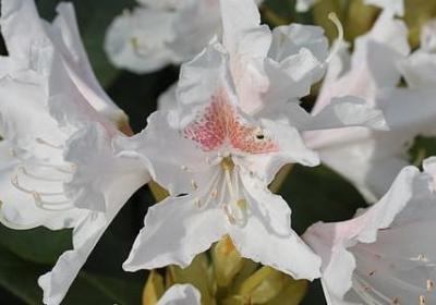 美发人的励志句子(50句) 美发人的励志句子(50句)