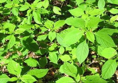 致自己的唯美句子励志(汇总10句) 致自己的唯美句子励志(汇总10句)