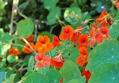 经典励志书籍推荐(精选49句) 经典励志书籍推荐(精选49句)