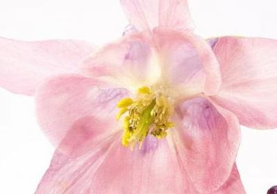 经典英语句子励志(热门51句) 经典英语句子励志(热门51句)