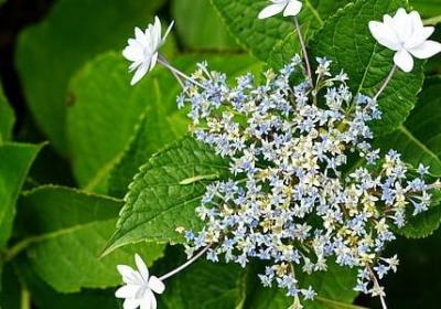 简短的励志句子(合集50句) 简短的励志句子(合集50句)