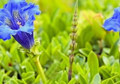 羊皮卷励志语录(共50句) 羊皮卷励志语录(共50句)