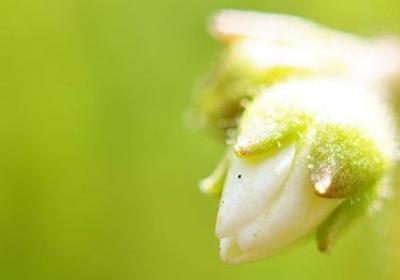 舞蹈语录励志的句子(共50句) 舞蹈语录励志的句子(共50句)