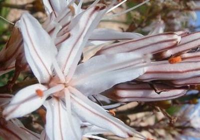 穷小子励志电视剧(热门20句) 穷小子励志电视剧(热门20句)