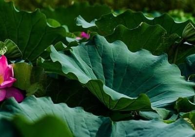 离婚后心情励志的句子(共64句) 离婚后心情励志的句子(共64句)