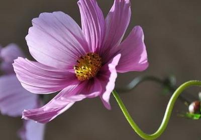 职场励志故事(推荐12句) 职场励志故事(推荐12句)