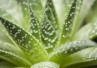 而立之年生日励志语(必备50句) 而立之年生日励志语(必备50句)