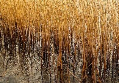 老板励志的经典语录(通用69句) 老板励志的经典语录(通用69句)