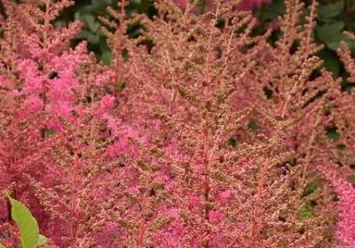 老人励志的诗句(通用40句) 老人励志的诗句(通用40句)