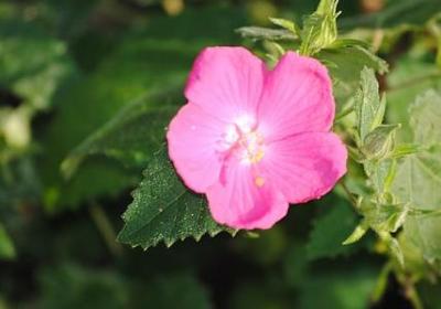 考研励志图片(精选80句) 考研励志图片(精选80句)