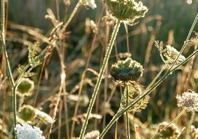 红色励志小故事(合集10句) 红色励志小故事(合集10句)