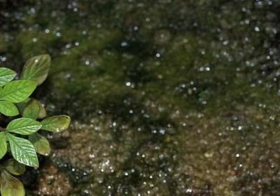 篮球的励志名言(实用40句) 篮球的励志名言(实用40句)