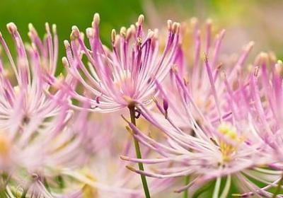 简单精辟的励志句子(合集60句) 简单精辟的励志句子(合集60句)