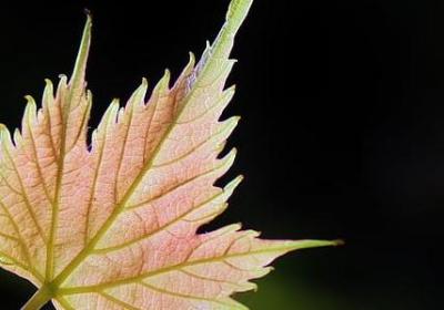 经典励志图片(热门40句) 经典励志图片(热门40句)