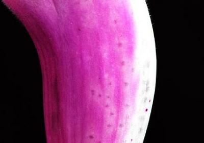 聊天背景励志(通用40句) 聊天背景励志(通用40句)