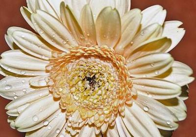 稿子大全青春励志(实用60句) 稿子大全青春励志(实用60句)