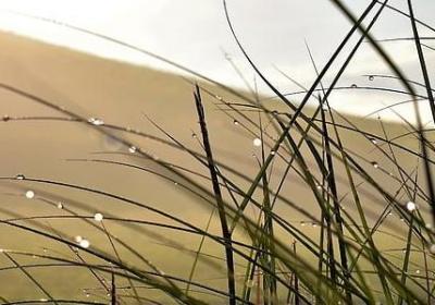 给孩子讲的励志故事(推荐20句) 给孩子讲的励志故事(推荐20句)