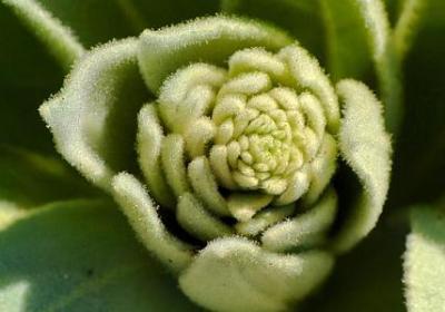 积极向上励志的句子(合集40句) 积极向上励志的句子(合集40句)