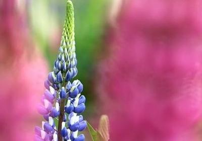 省政府励志奖学金多少钱(合集10句) 省政府励志奖学金多少钱(合集10句)