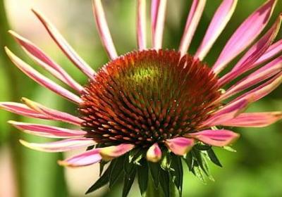 给孩子励志的话(通用40句) 给孩子励志的话(通用40句)