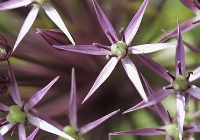 英文励志名言(汇总43句) 英文励志名言(汇总43句)