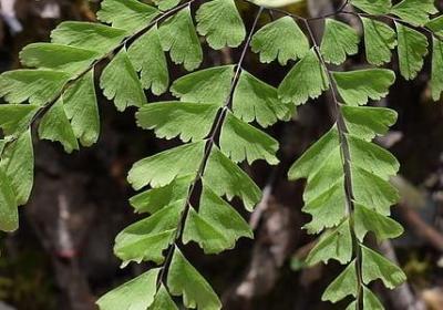 英文励志名句(共79句) 英文励志名句(共79句)