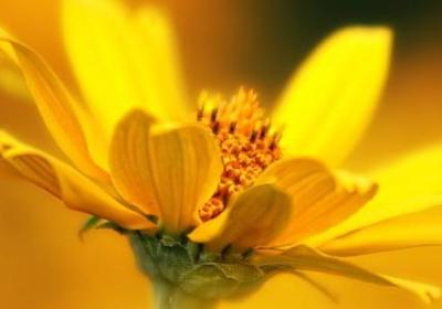 经典励志语录短句(必备60句) 经典励志语录短句(必备60句)