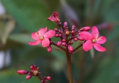 经典励志英语美句摘抄(热门40句) 经典励志英语美句摘抄(热门40句)