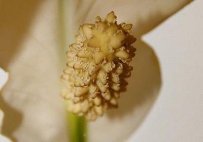 网络句子励志语录(实用80句) 网络句子励志语录(实用80句)