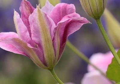 经典励志歌词(汇总10句)