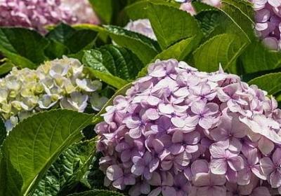 英文励志电影(合集99句)