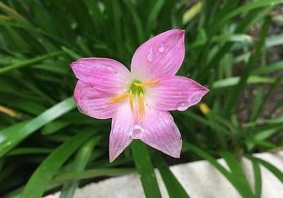 考试励志的话(精选80句)