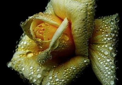 病魔缠身励志的句子(精选60句)