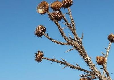 短句励志名言(推荐70句)