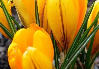 给自己的一封信励志(共11句)